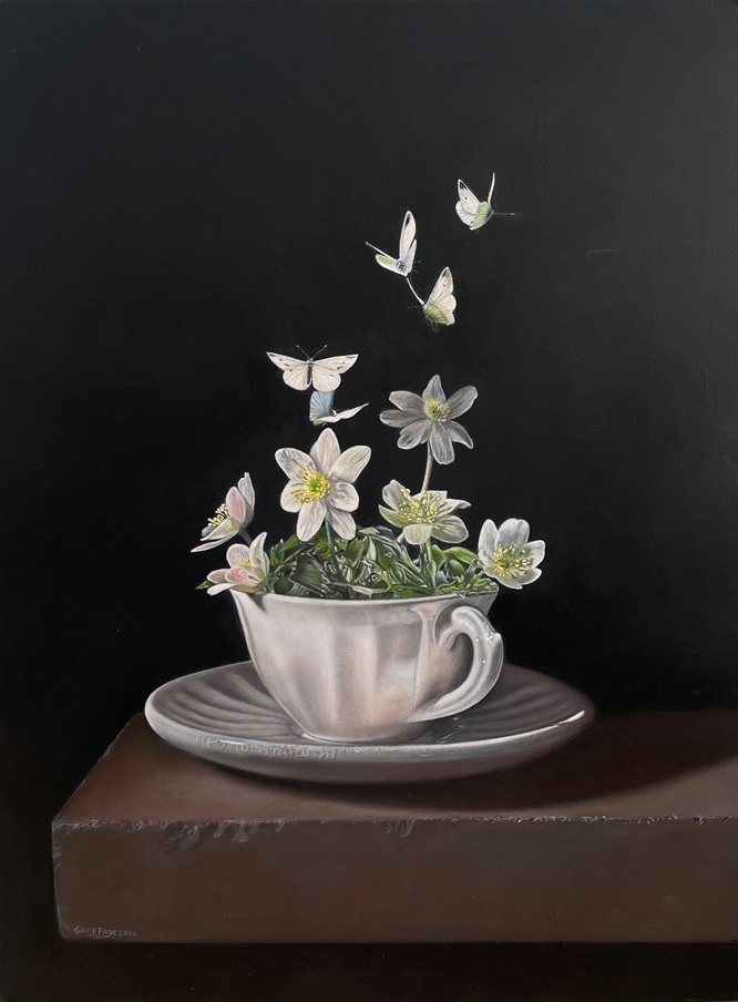 Offspring, 2024 – Still life oil painting on panel, 27 x 36 cm – Ginny Page